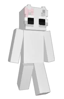 Front of Amj's skin