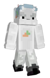 Front of domkai's skin