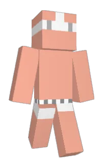 Front of bruh309's skin