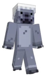 Minecraft-Skin in waterloo  und comet — Modell: Klassisch