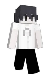 6740 Minecraft avatar full body