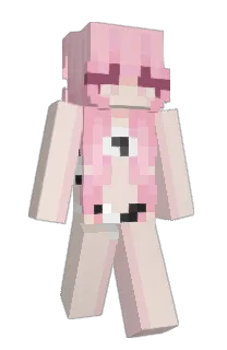 Front of terralegit's skin
