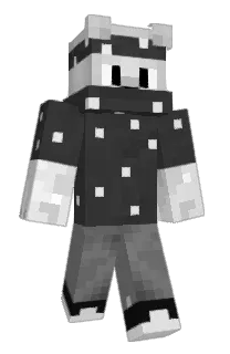 LabyRobert's Minecraft skin