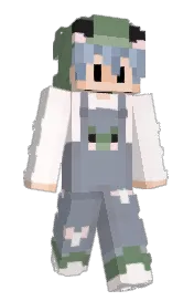 Skin preview