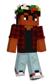 Skin preview