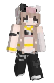 Front of Minecraft skin