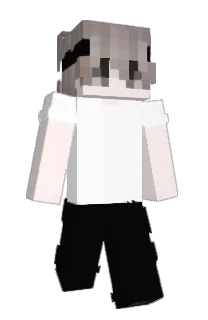 Front of zonbonn's skin