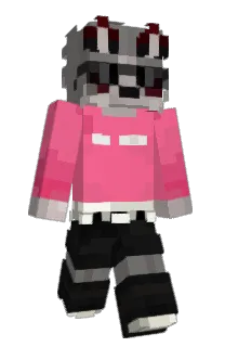 Front of HETOPY's skin