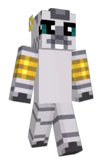 Front of quidd_'s skin