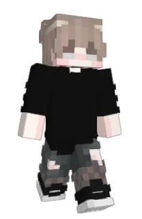 Front of Stxlpice's skin