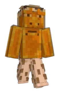 67SkibidRizz67 Minecraft avatar full body