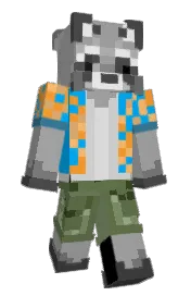 Skin preview