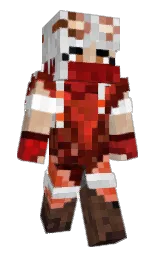 Minecraft skin — Classic model