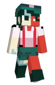 Skin preview