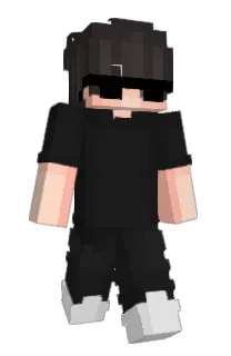 Front of V_0b's skin
