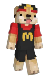Skin preview