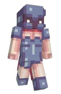 Front of 8irdz's skin