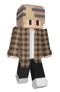 Front of Experienceful's skin