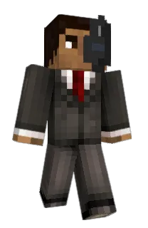 Front of Hyaena's skin