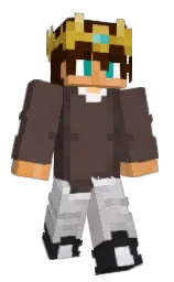 TheWizardHaxer's Minecraft skin wearing the Migrator cape