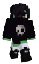 ebony and cod gray Minecraft skin — Classic model — first worn by S0NNYSKIES