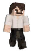 Turtlehermit346