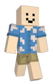 Skin preview