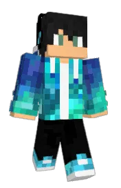 Skin preview