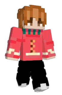 Front of Aximite's skin