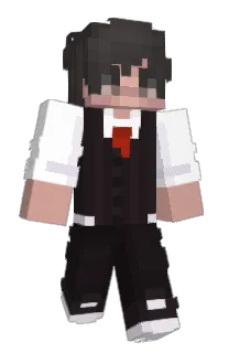 Front of marioca's skin