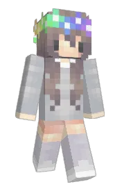 Skin preview