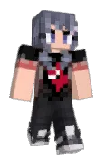 Skyvixel