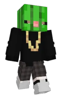 nateloveslesser's Minecraft skin