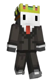 Front of Foxsi's skin