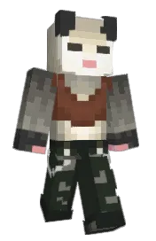 Skin preview