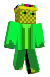 Skin preview