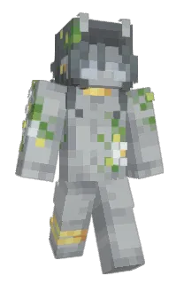 Front of seavomit's skin