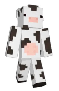 Front of shrawa's skin