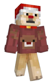 Front of bhysco's skin