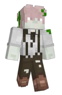 _Litenn_'s Minecraft skin