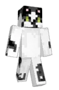 CollieKitty