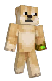 Skin preview