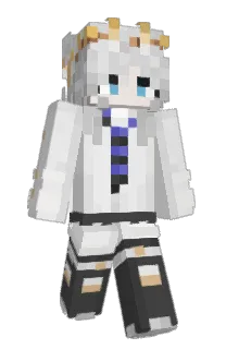 Front of seiswagg's skin