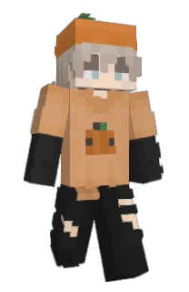 Front of vrksn's skin
