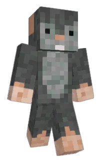 Front of hydrogen____'s skin