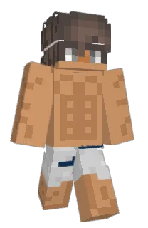 Front of IronHenri's skin