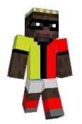 Ploidi