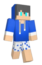 Skin preview