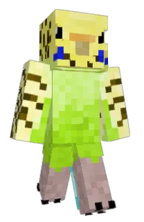 Front of FALCHENER's skin