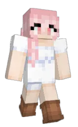 Minecraft skin — Classic model